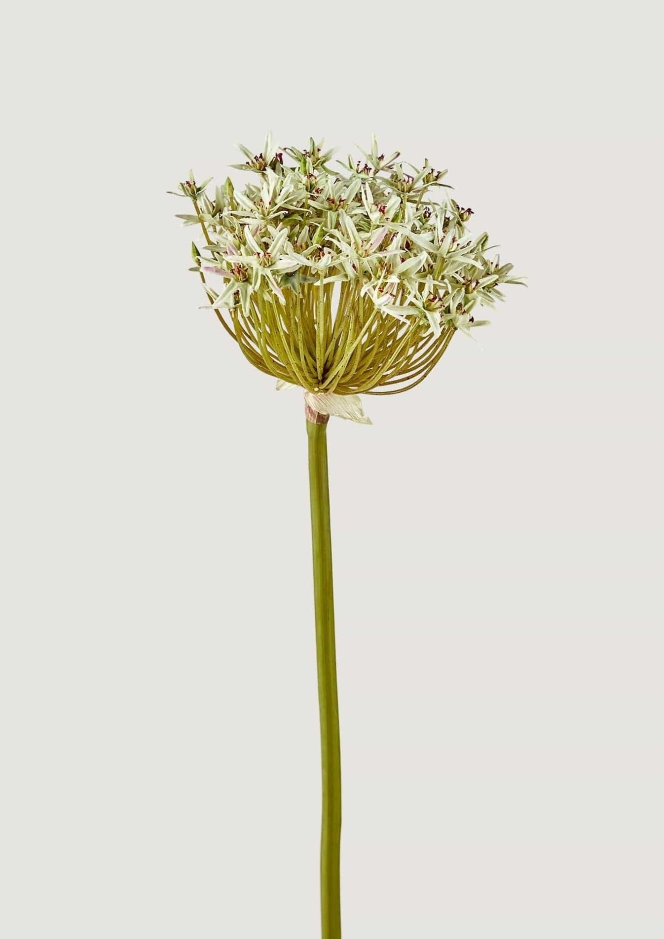 Afloral Faux Wildflowers Allium Stem in Light Green