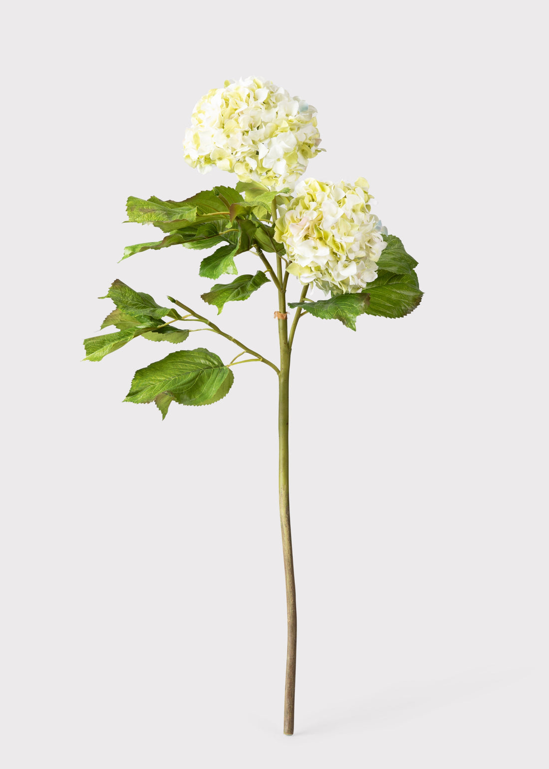 Cream Green Faux Hydrangea Branch