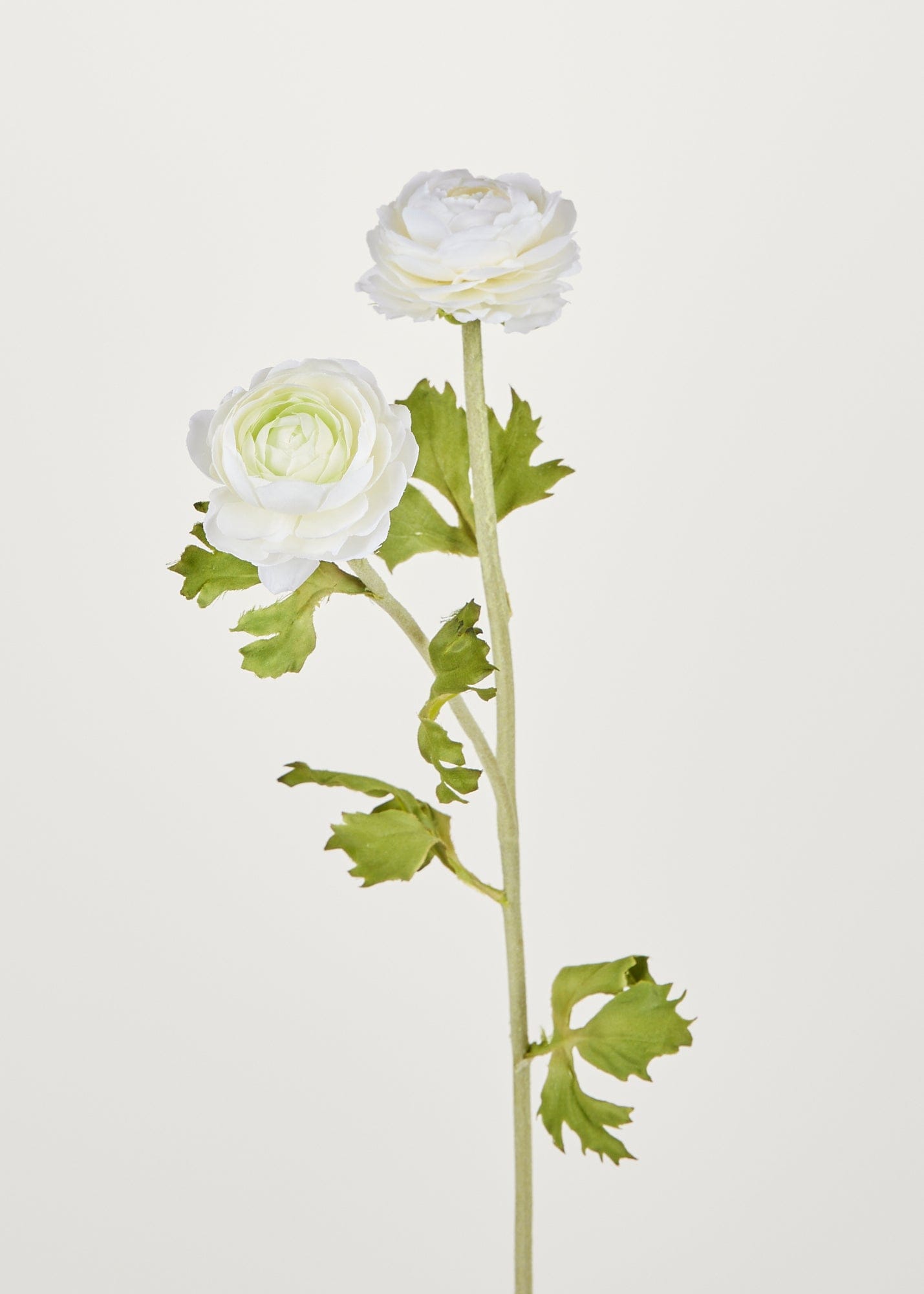 Artificial Ranunculus Flowers in White - 30