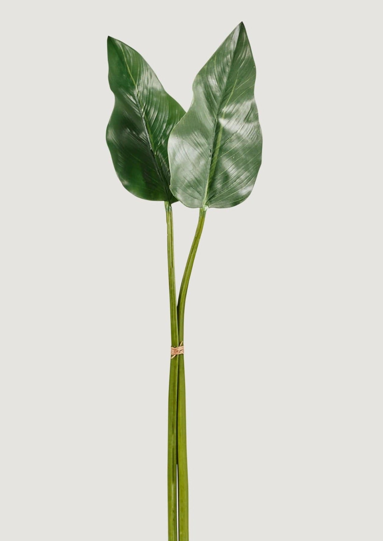 Bundle of 2 Artificial Calla Lily Leaves - 34-34.5