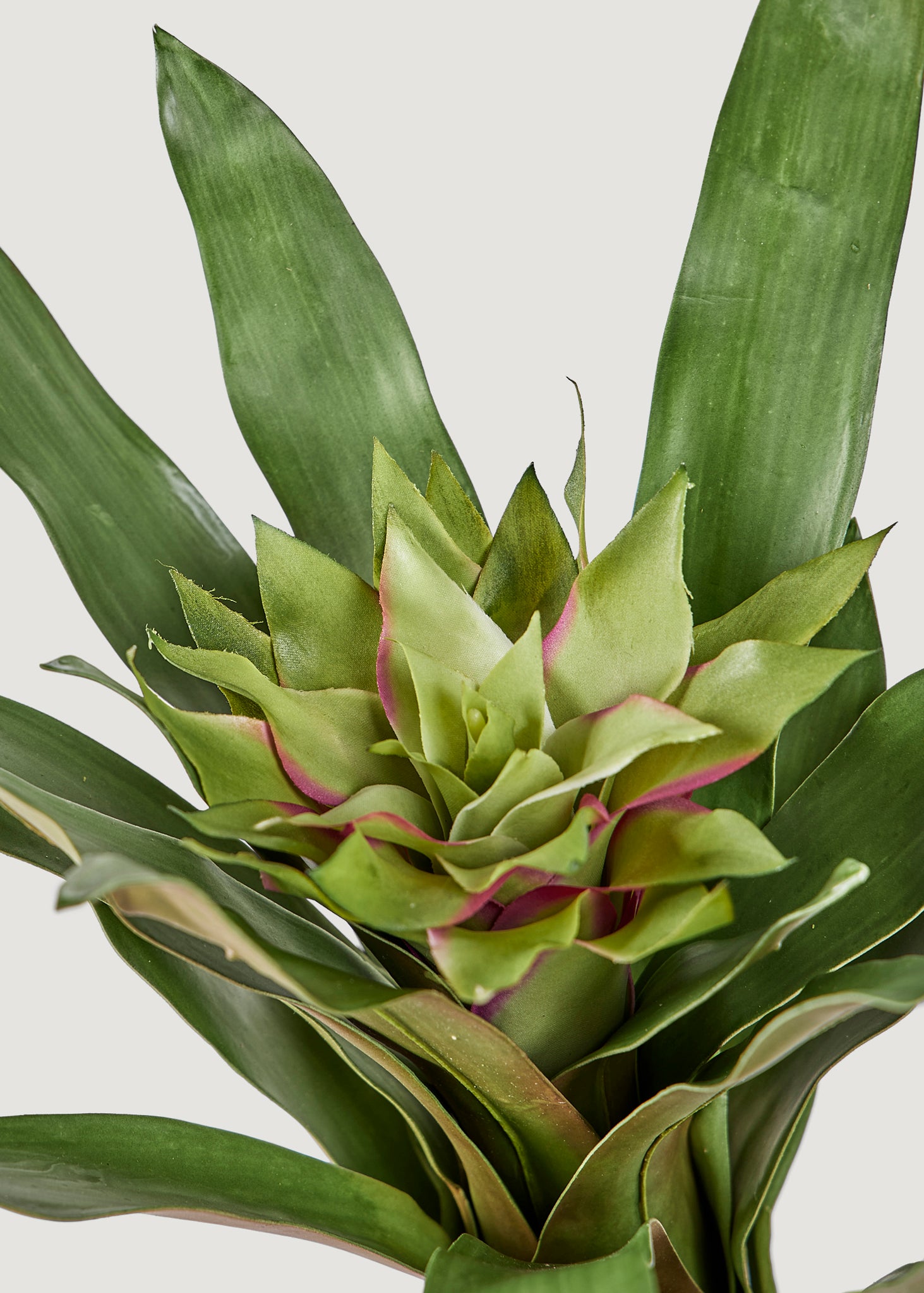 Artificial Tropical Bromeliad Plant in Green - 20&quot;