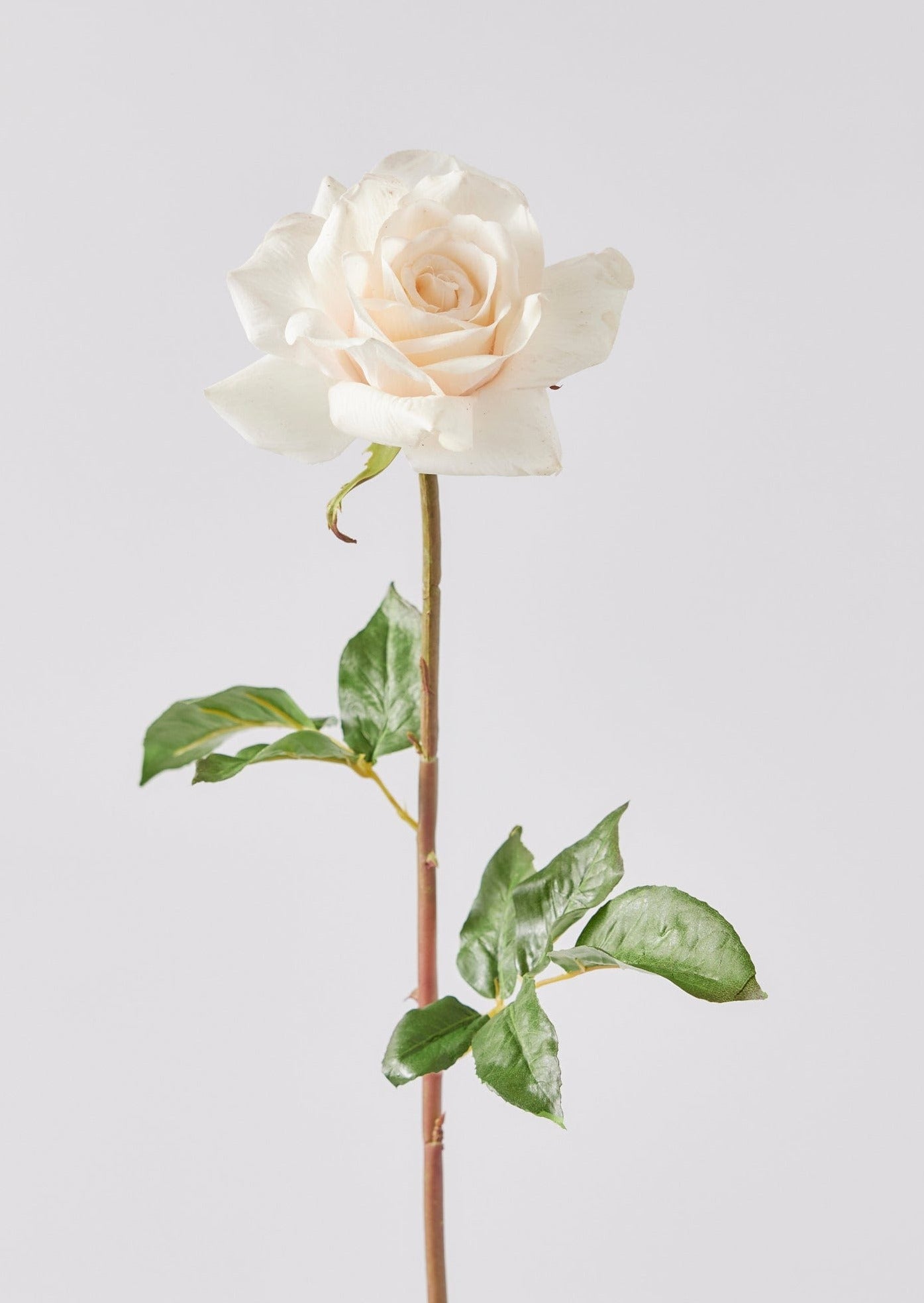 Afloral Faux Flowers Cream Peach Real Touch Rose Stem