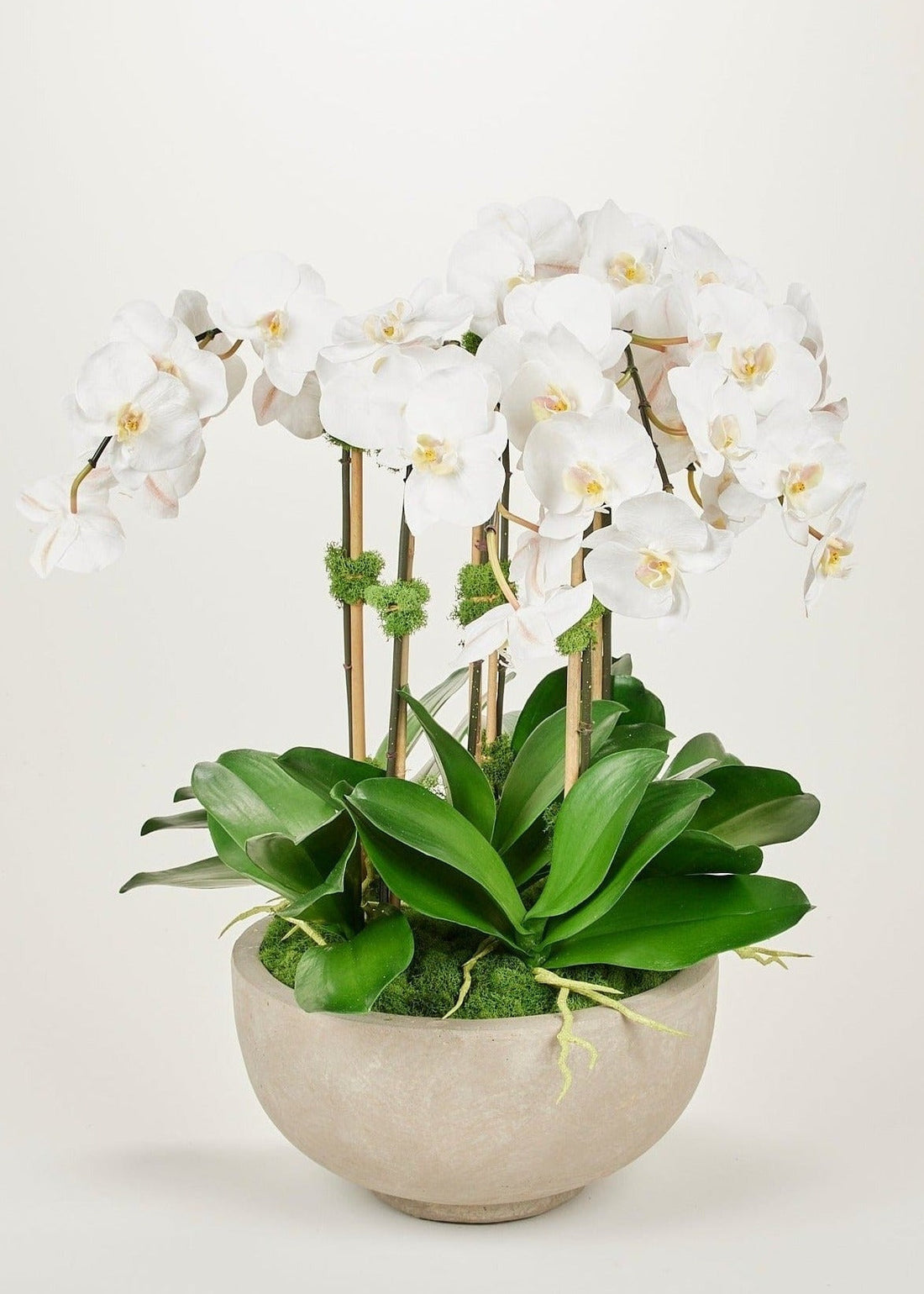 Afloral Potted Floral Arrangement of Faux White Orchids in Ceramic Bowl