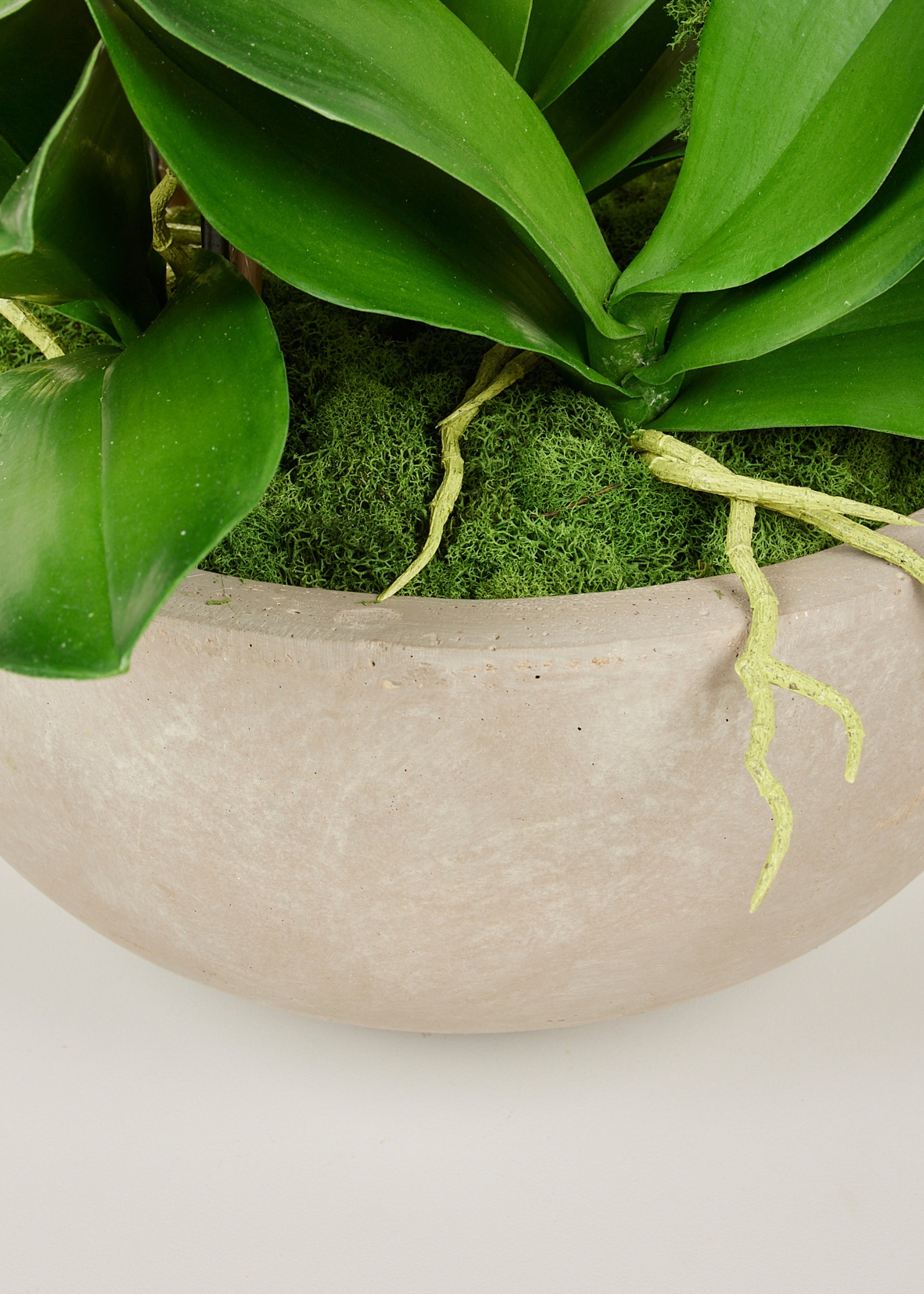 Potted Artificial Orchid Arrangement Pot Close-up
