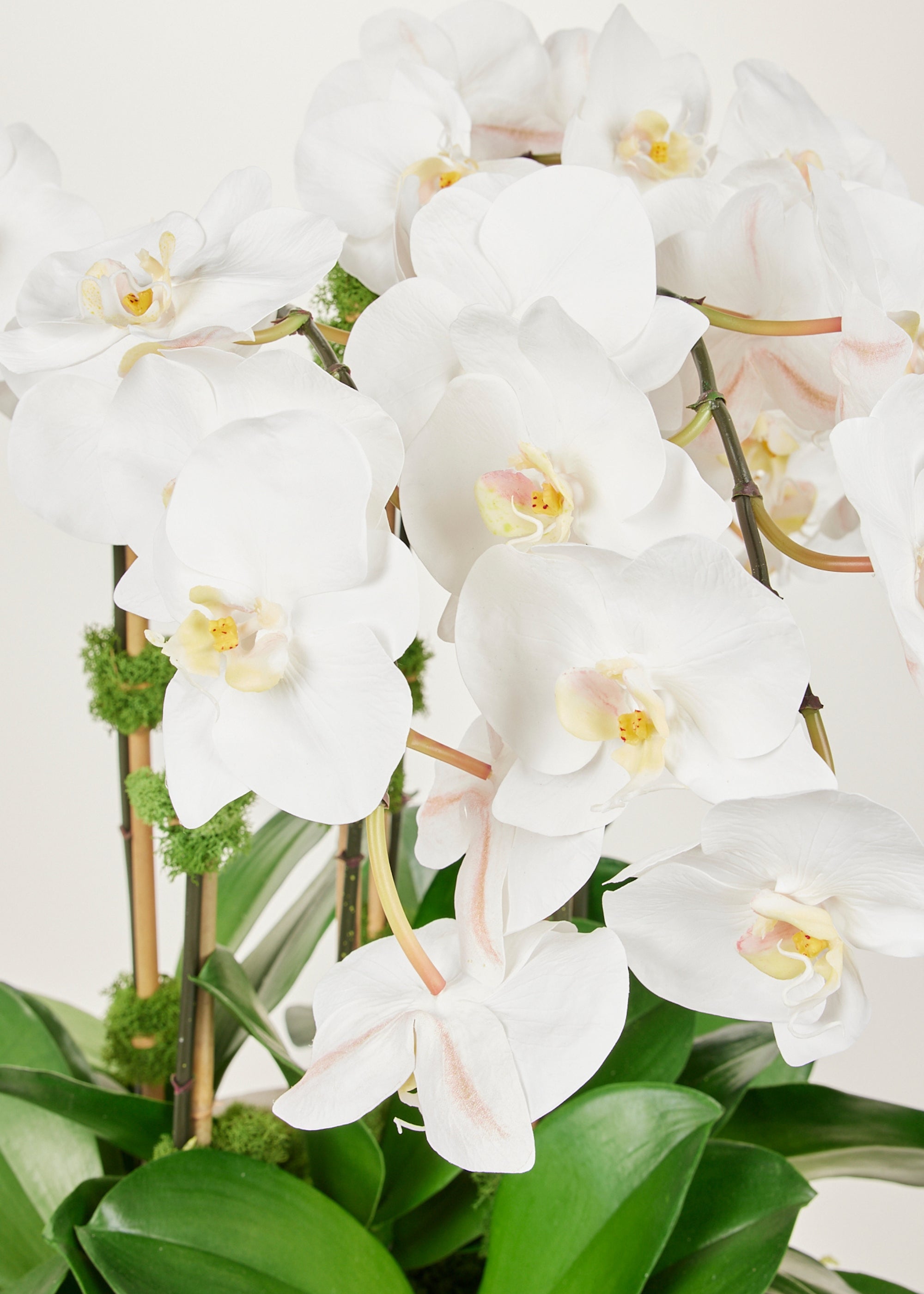 Close-up of Faux Orchid