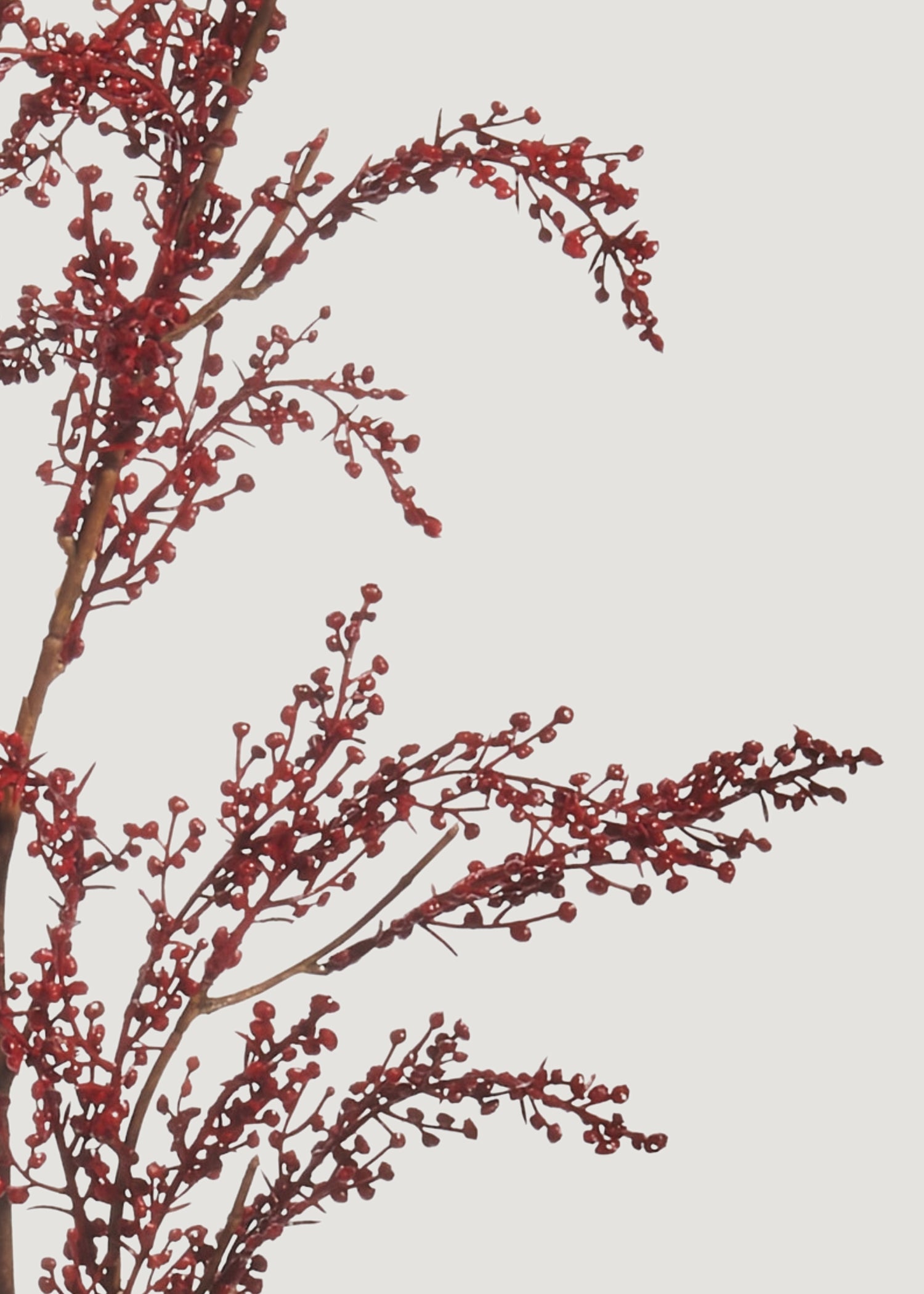 Close-up of Faux Red Berry Branch
