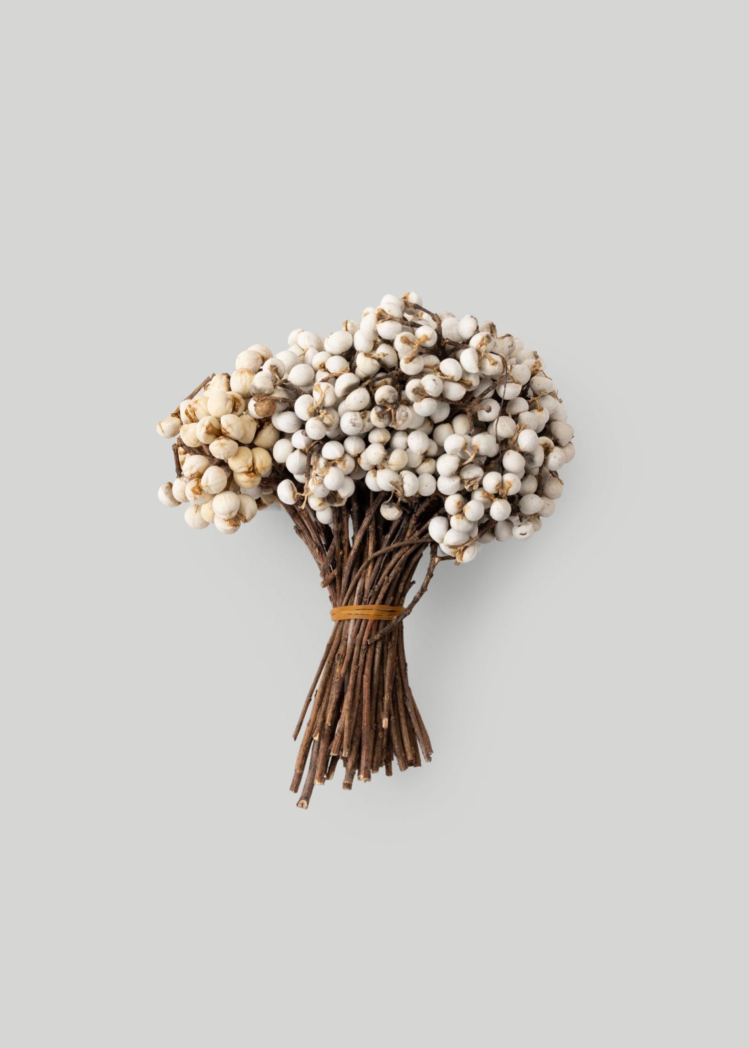 Dried White Tallow Berries