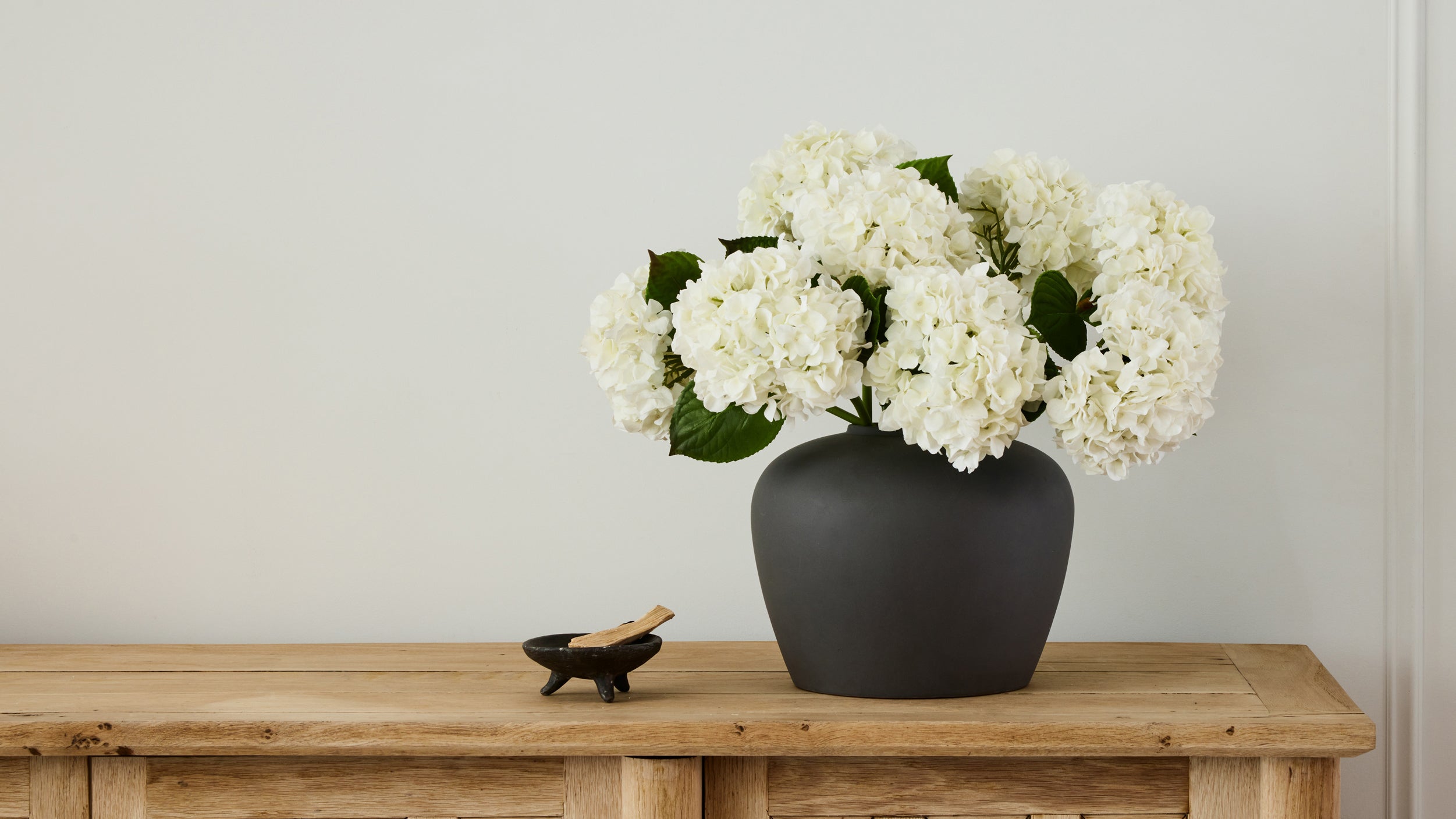 white hydrangea in black vase