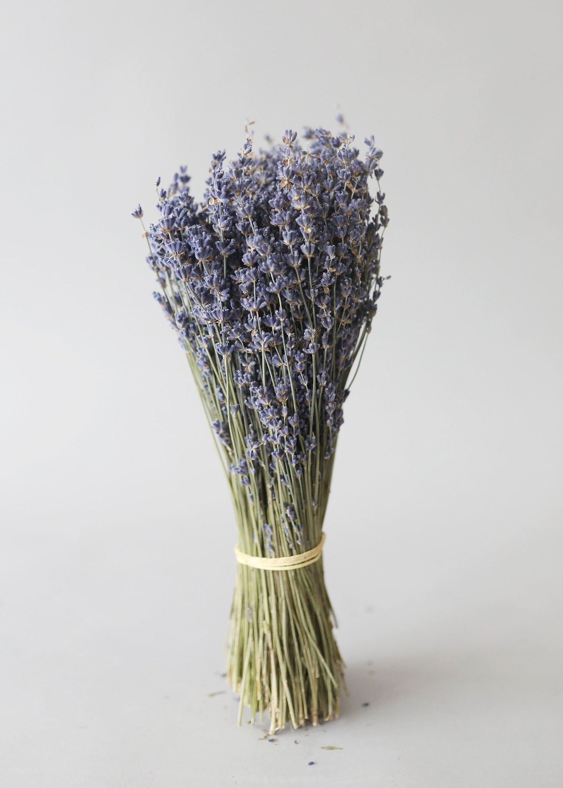 Natural Fragrant Dried Lavender Bundle | Dried Flowers at Afloral