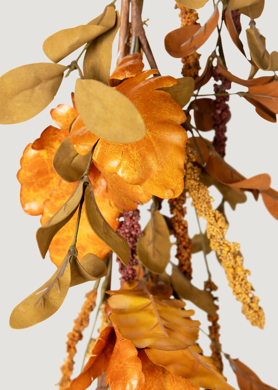 Close-up of Fall Leaves and Berries