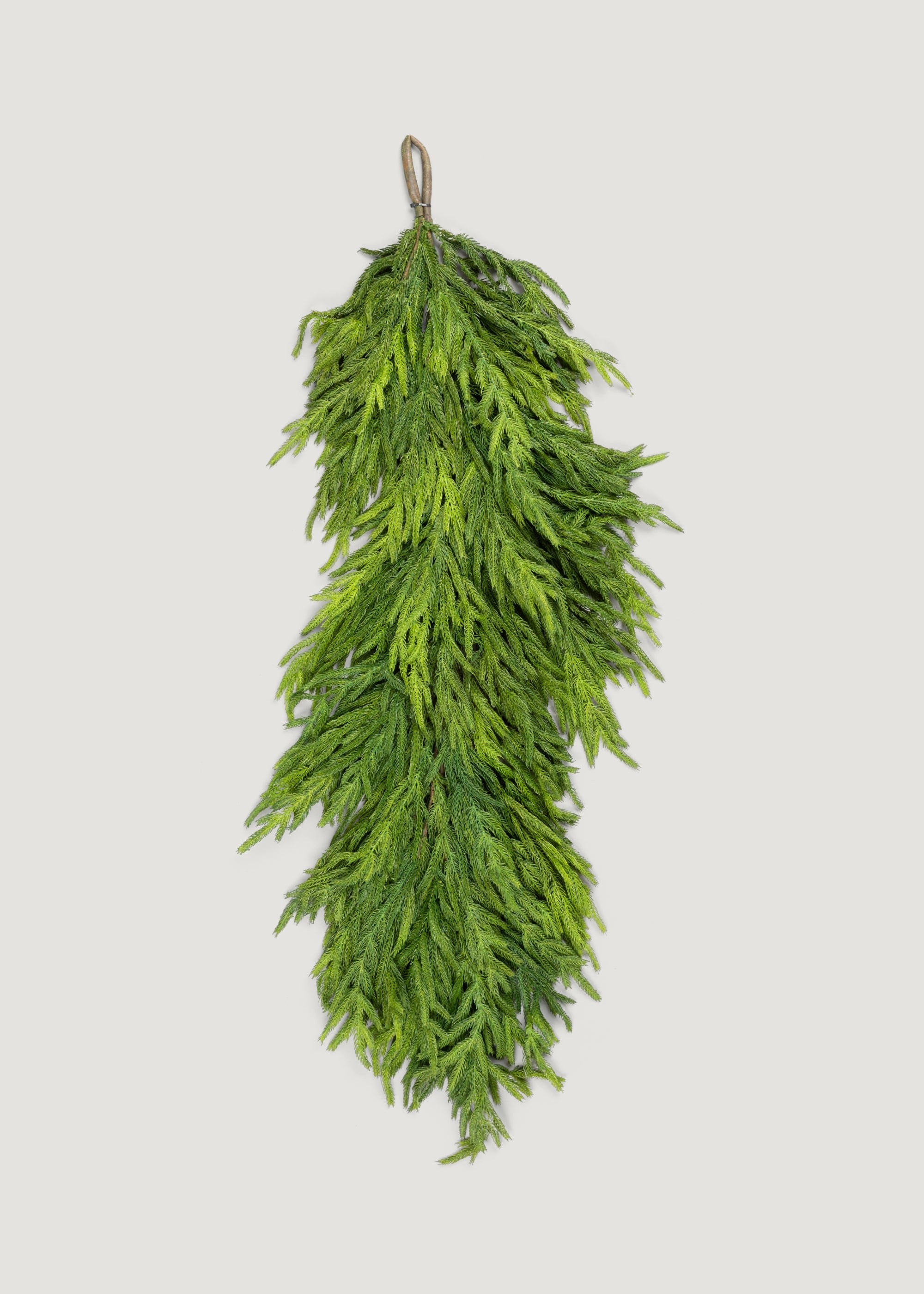 48" Real Touch Norfolk Pine Garland