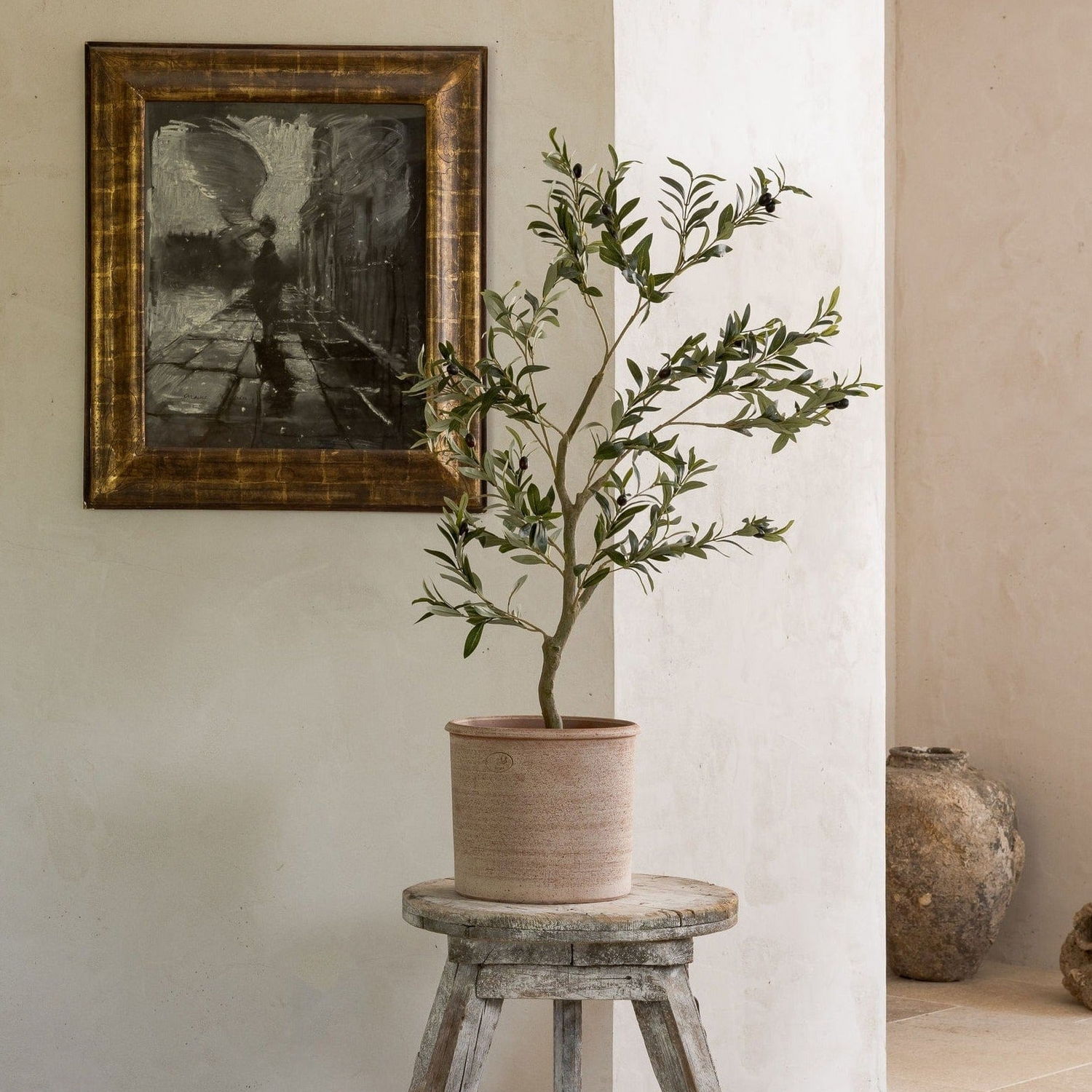 Potted Olive Tree on stool. | Afloral