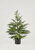 Winter Decor Potted Real Touch Norfolk Pine Tree at Afloral