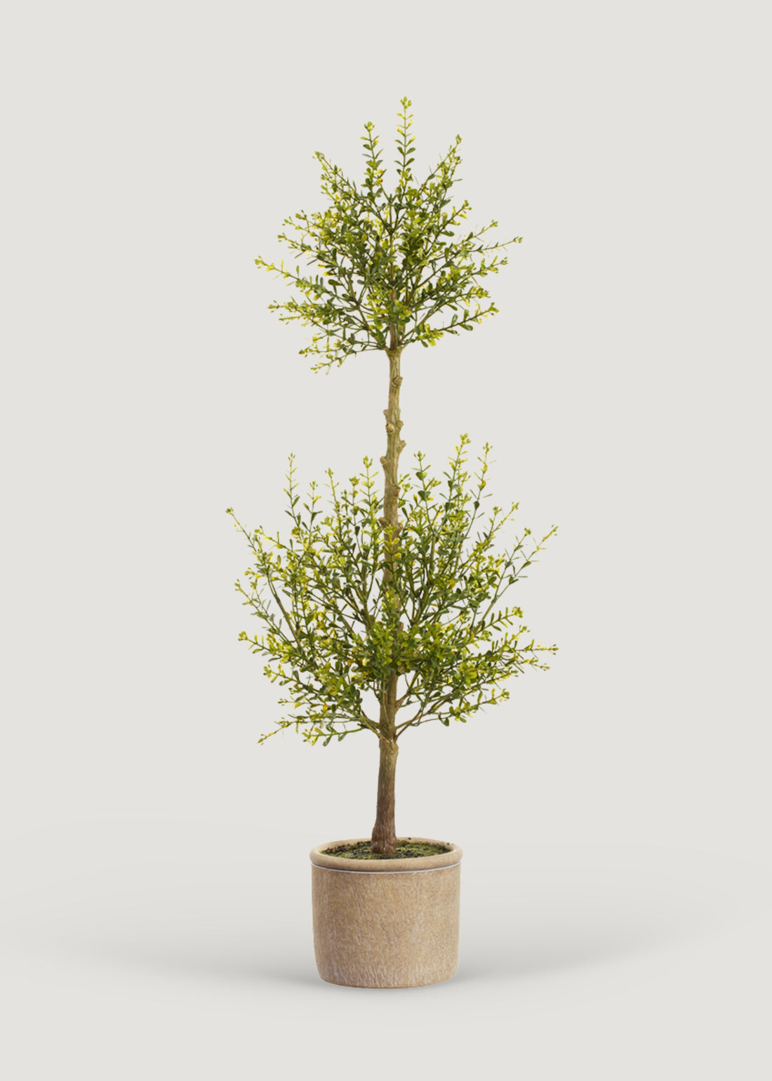 Artificial Myrtle Leaf Topiary Plant in Cement Pot