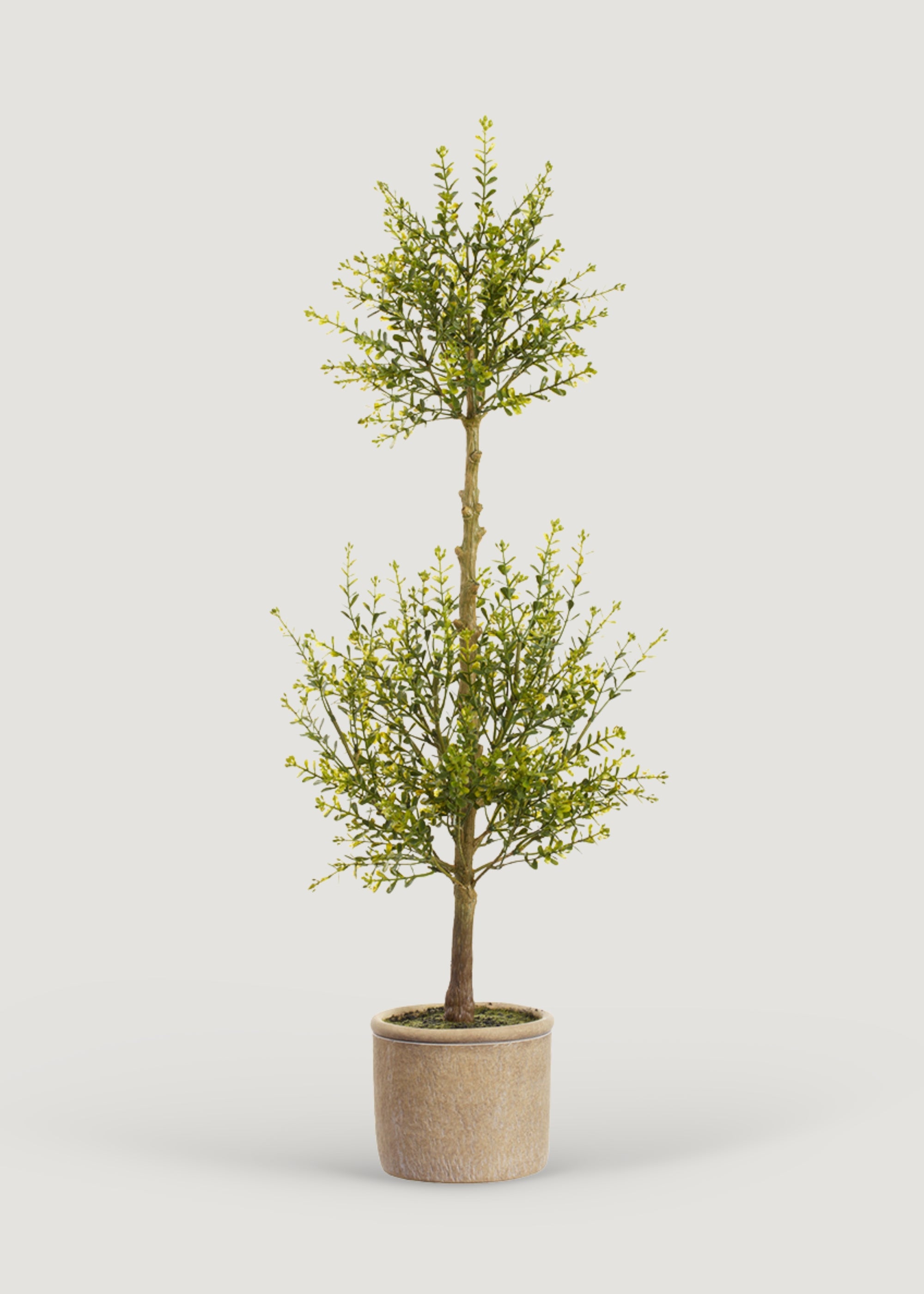 Artificial Myrtle Leaf Topiary Plant in Cement Pot