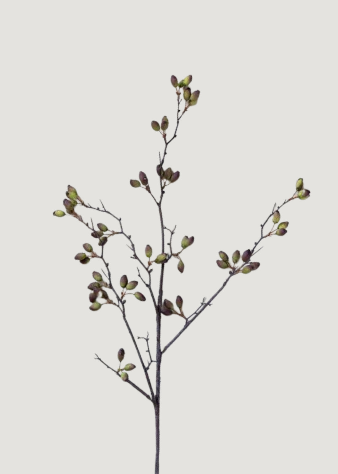 Faux Barberry Pod Branch
