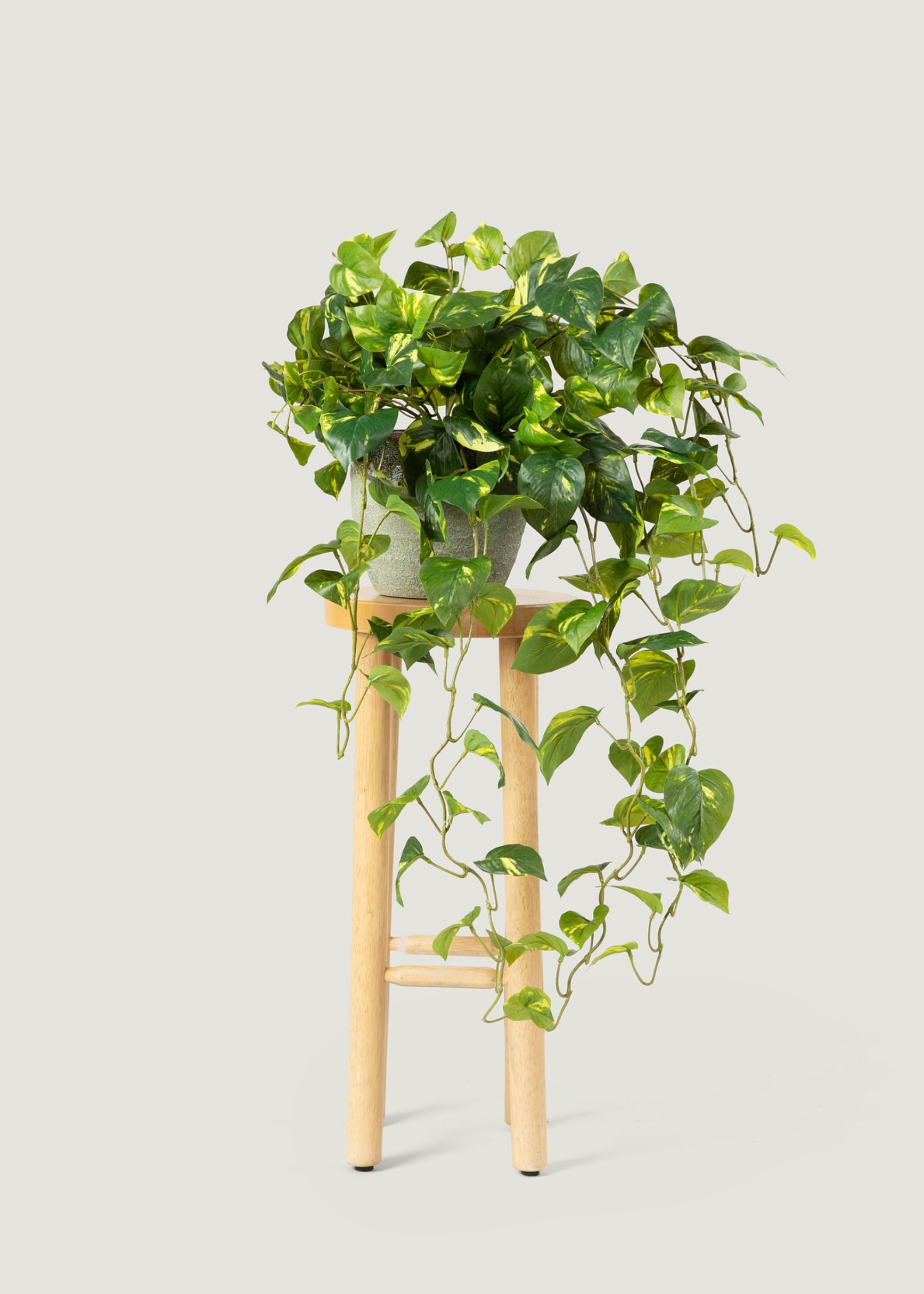 long hanging pothos Deluxe Real Touch Pothos Fake Hanging Plant