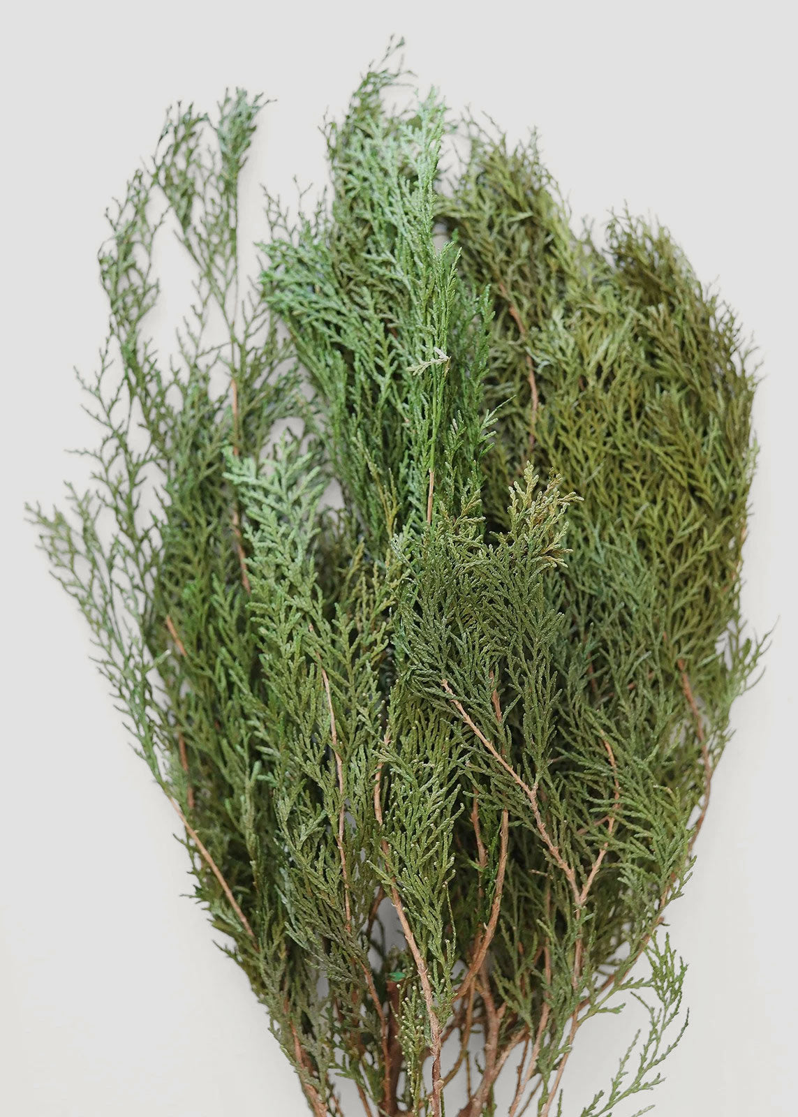 Natural Cedar Bundle