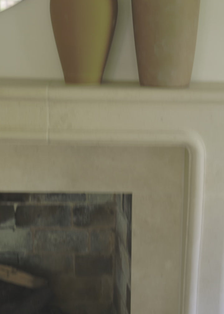 Styled Artificial Fig Branches in Afloral Video