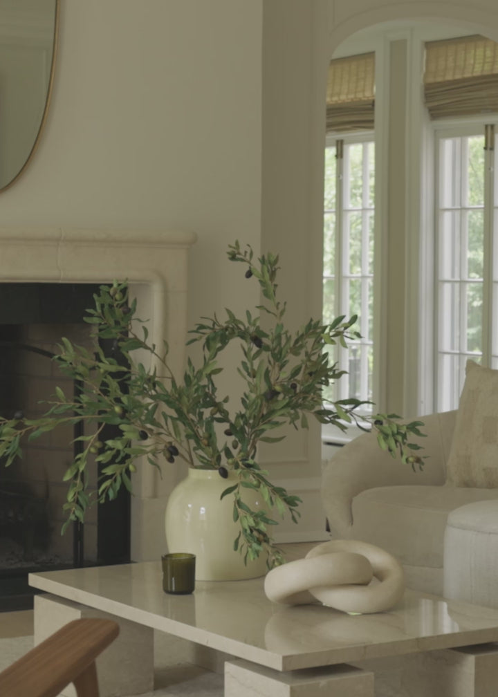 Artificial Olive Branches in Styling Video