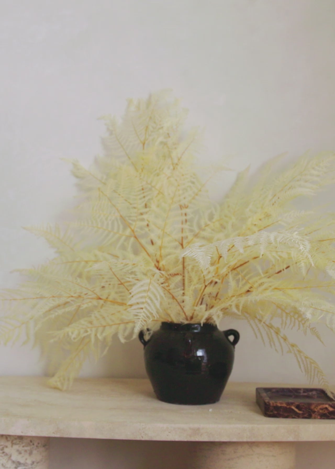Vase Styling with Bleached White Dried Ferns in Afloral Video