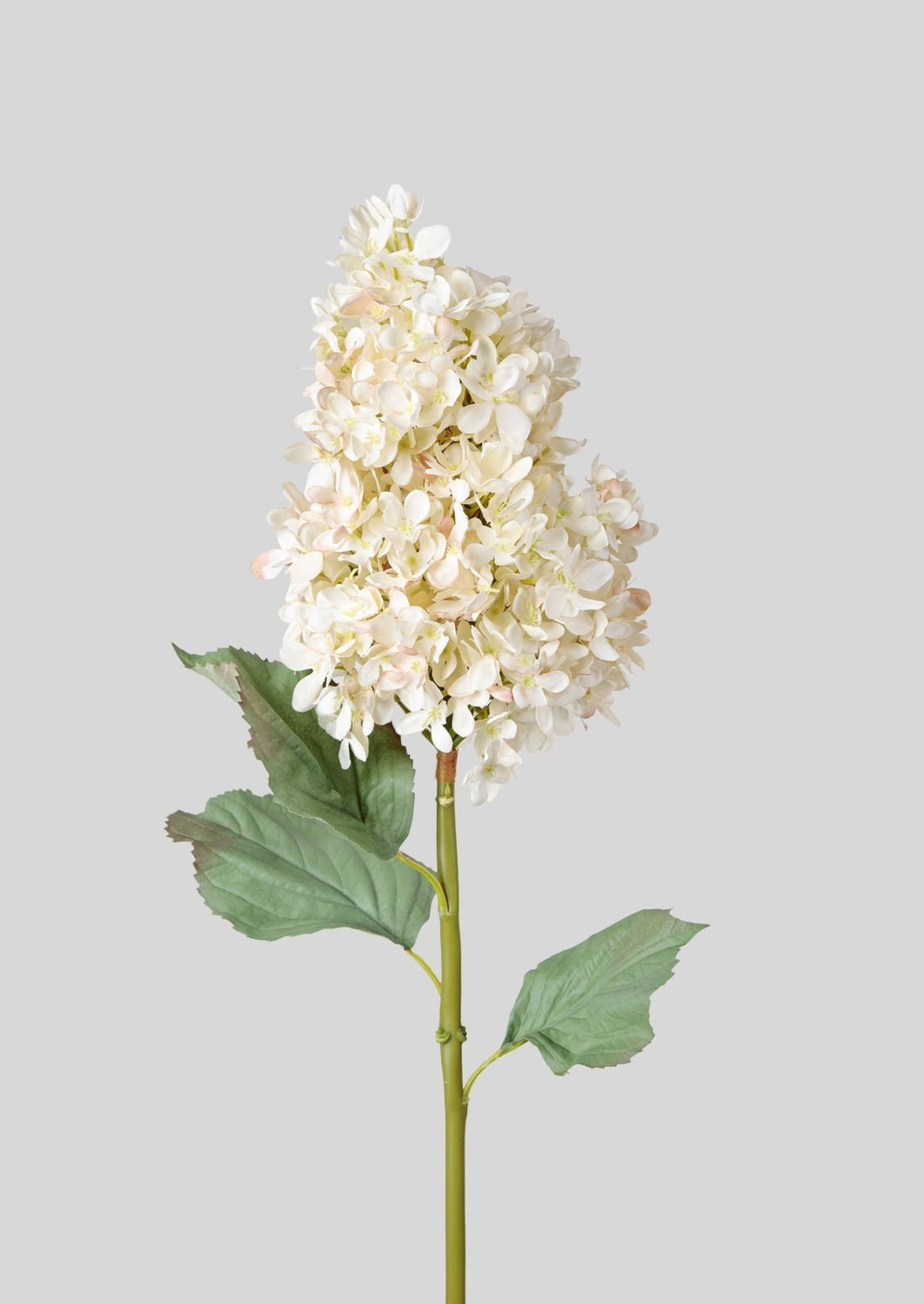 Premium Faux Flowers Cone Hydrangea Stem in Parchment