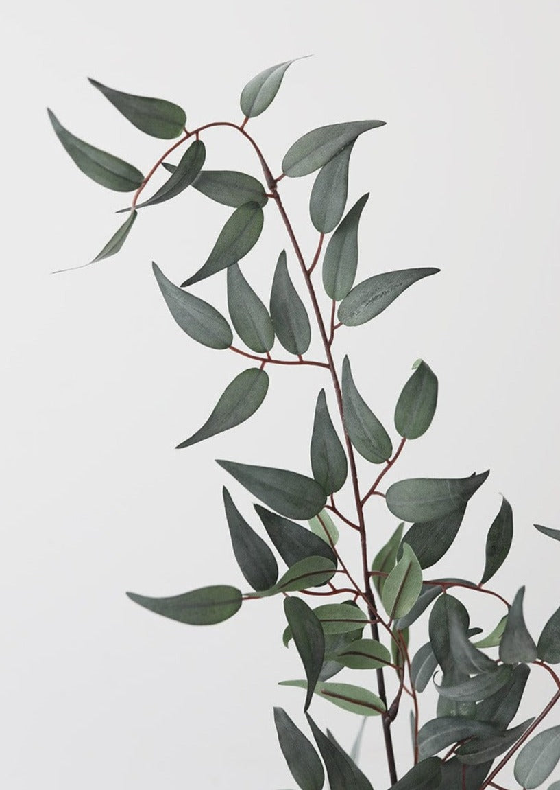 afloral Faux Greenery Dark Italian Ruscus Leaves