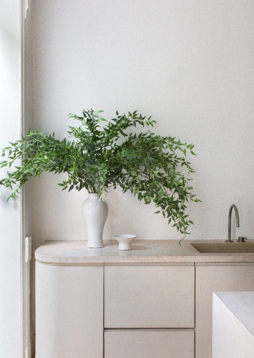 Afloral Faux Ruscus Branches in Tall White Glossy Vase