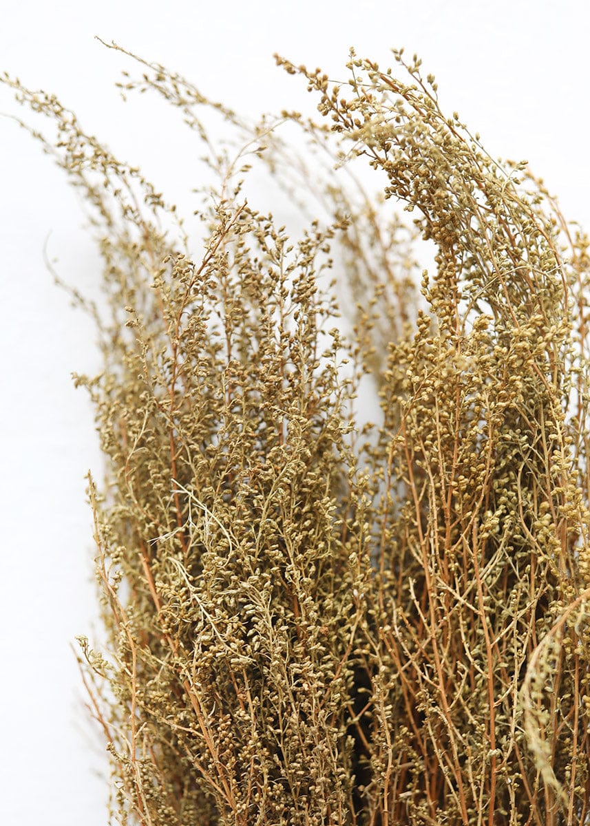 Natural Botanicals Dried Solidago Flowers