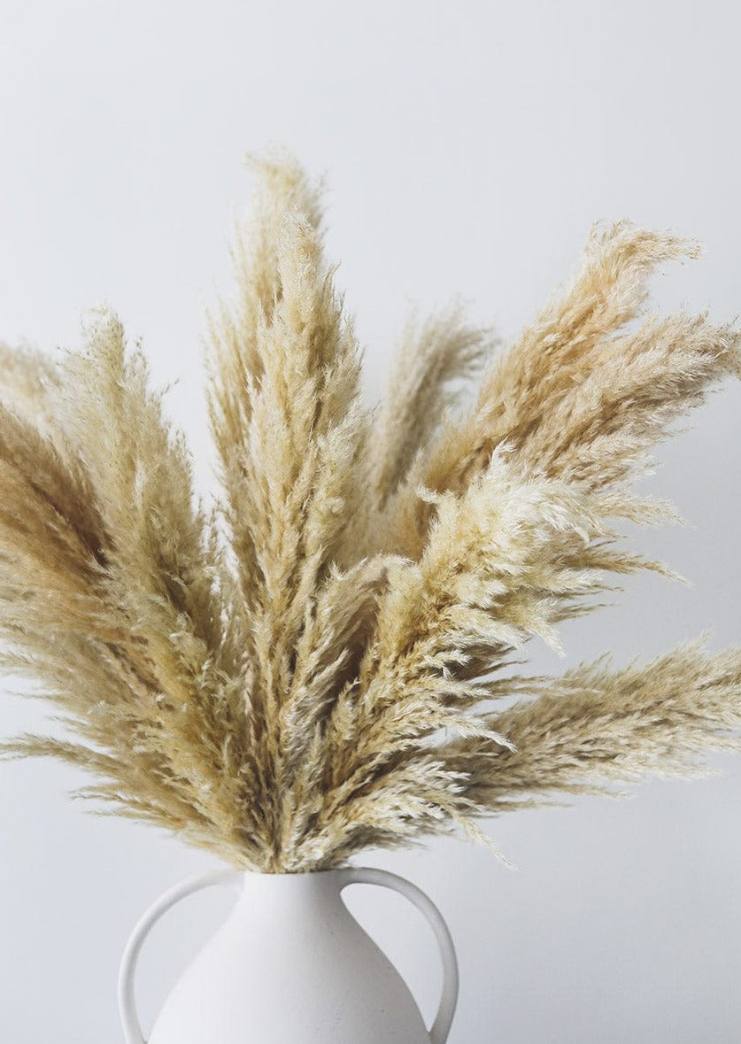 Tan Pampas Grass for Weddings