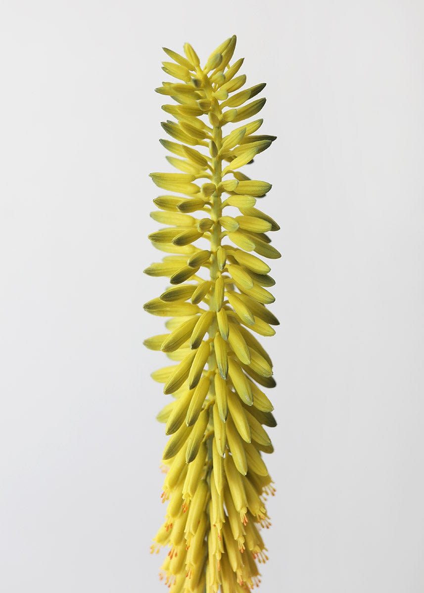 Yellow Green Artificial Agave Flower