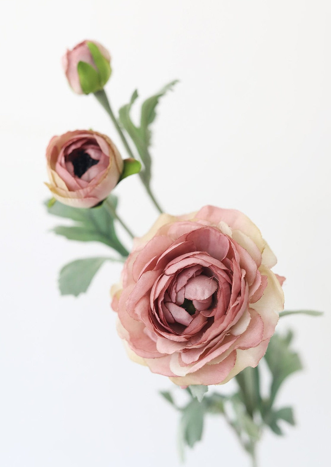 Silk Ranunculus in Mauve Color