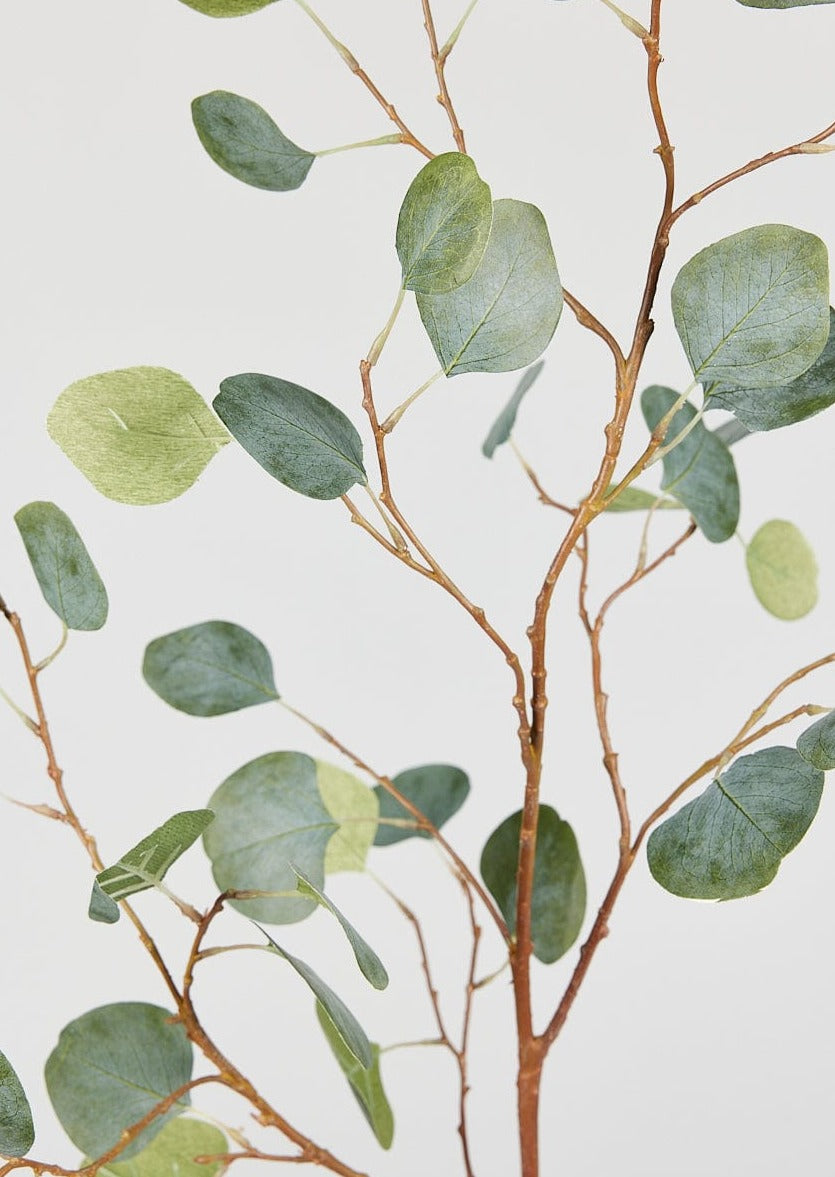 Close Up of Artificial Eucalyptus Leaf Branch at Afloral