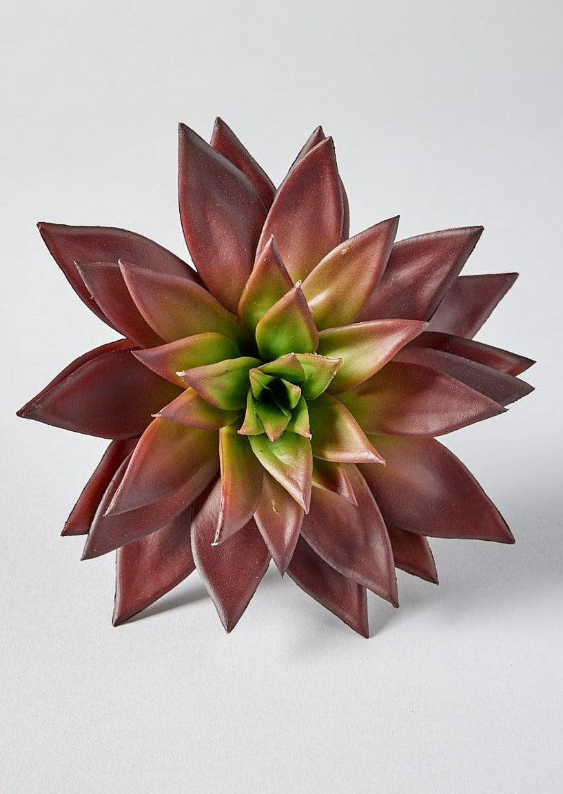Artificial Burgundy Succulent in Close Up View