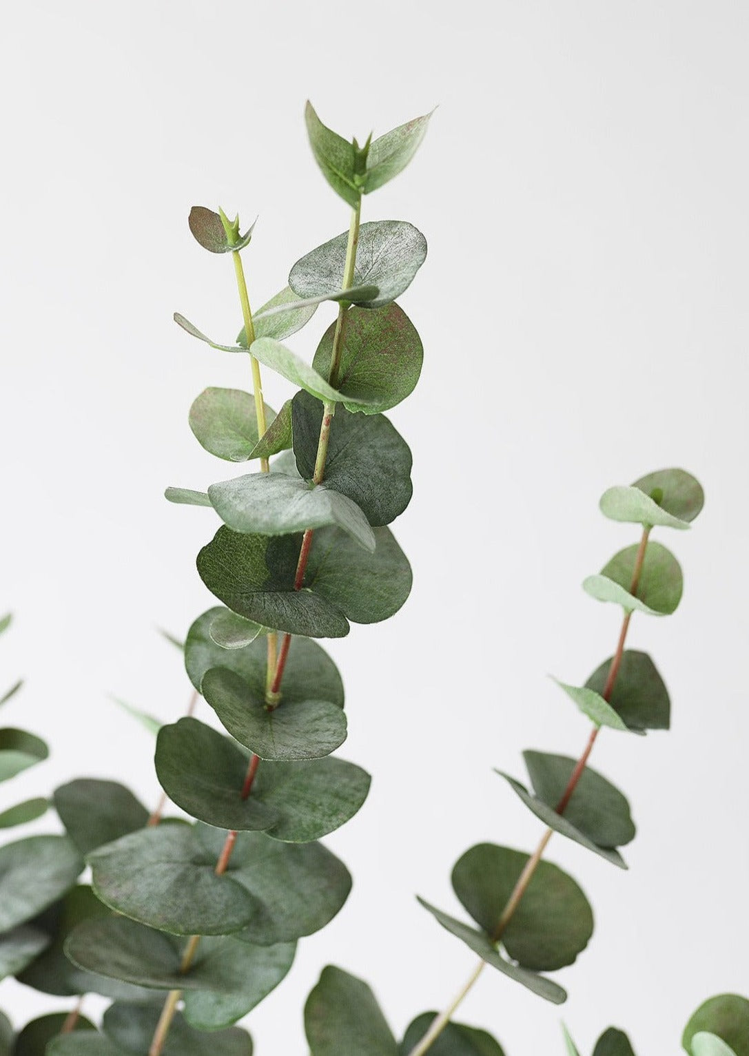Artificial Greenery Spiral Eucalyptus at Afloral