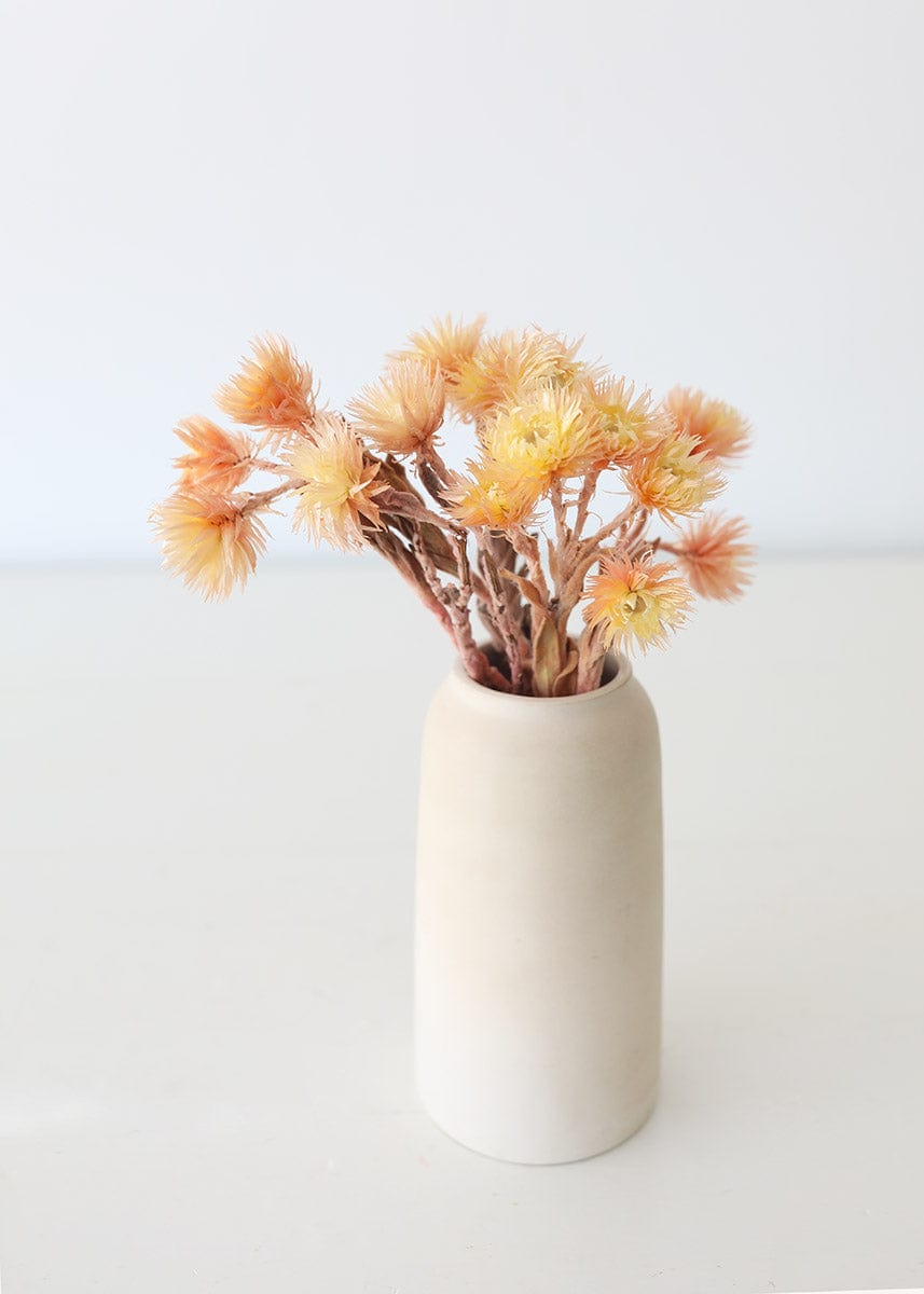 Peach Dried Silver Daisies in Stoneware Vase
