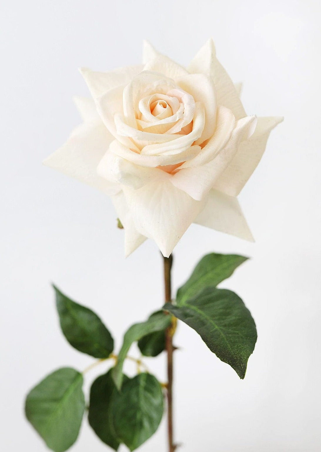 Real Touch Dutchess Rose Flowers in Peach Cream