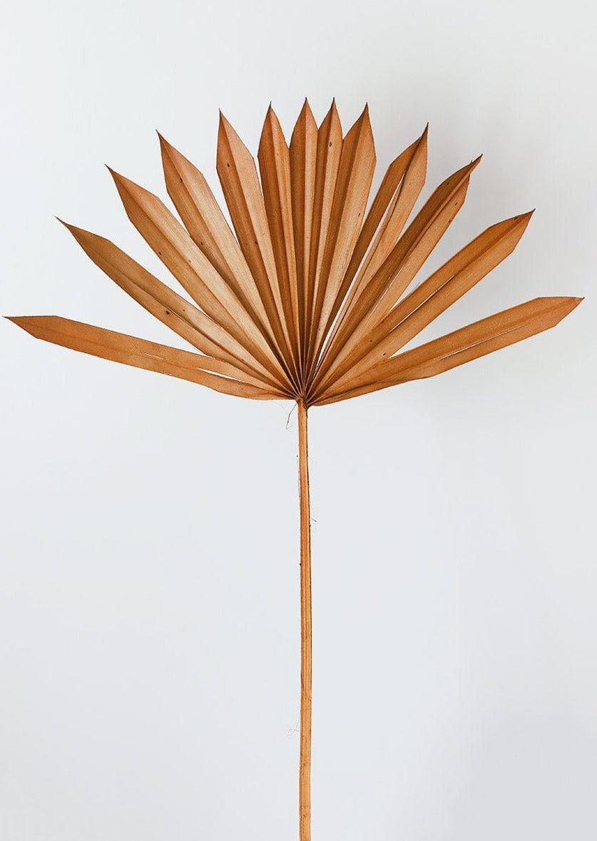 Single Dried Sun Palm Leaf in Terracotta