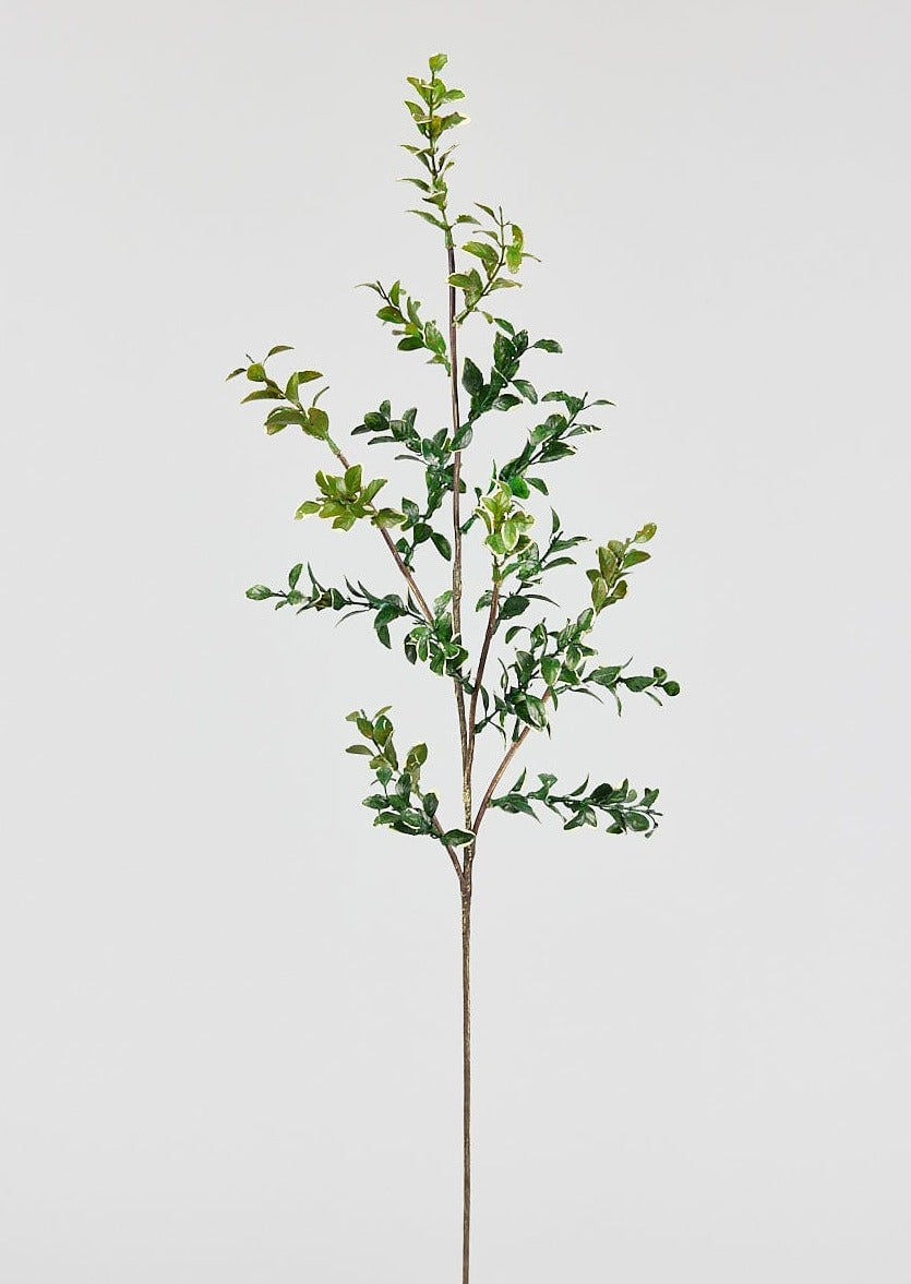 Afloral Natural Touch Button Leaves Branch