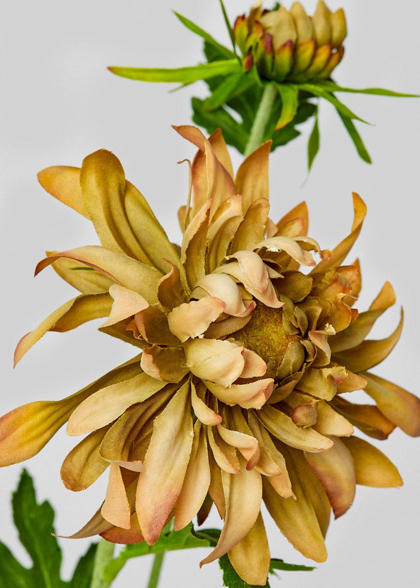 Fall Terracotta Mauve Mum Flower