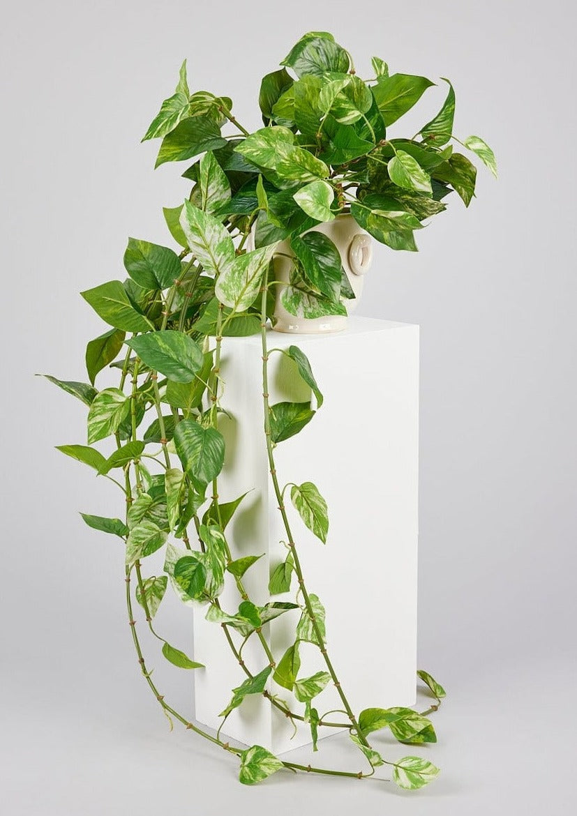 Afloral Natural Touch Faux Pothos Hanging Plant