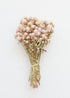 Dried Flowers in Pink Globe Amaranth Bundle at afloral