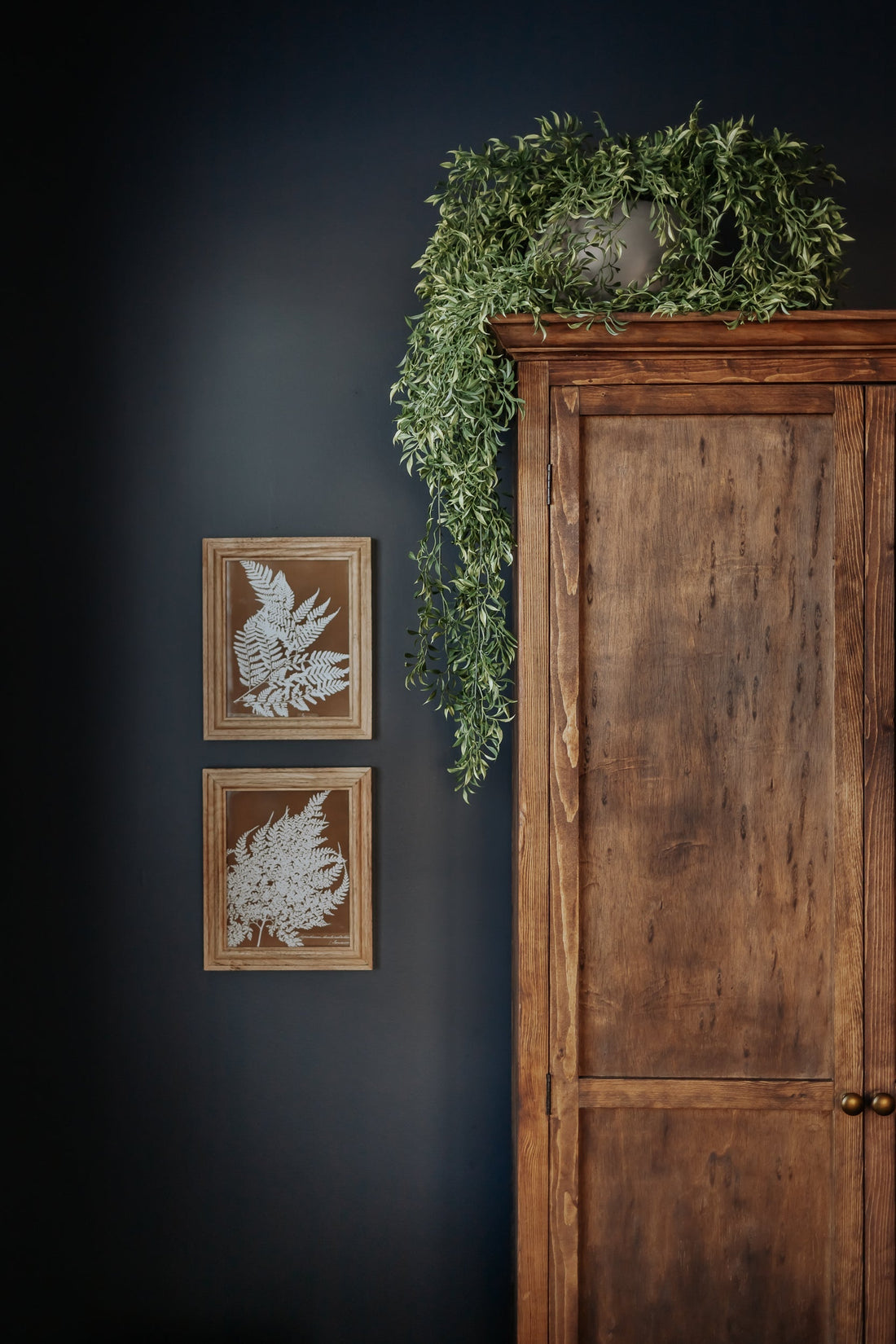 Shining a Light on The Best Faux Plants for Dim Spaces