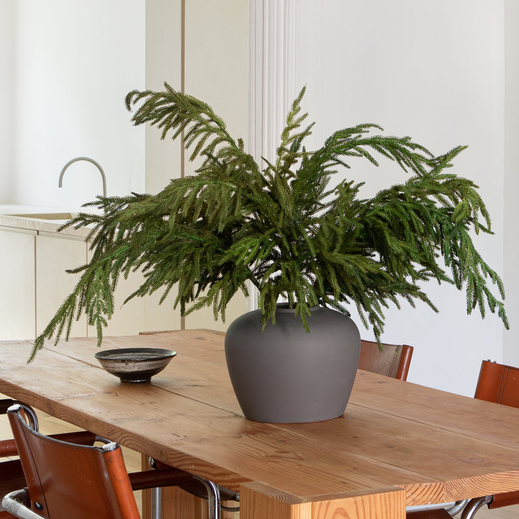 Shop Pine, cedar and juniper stems to use as holiday decorations