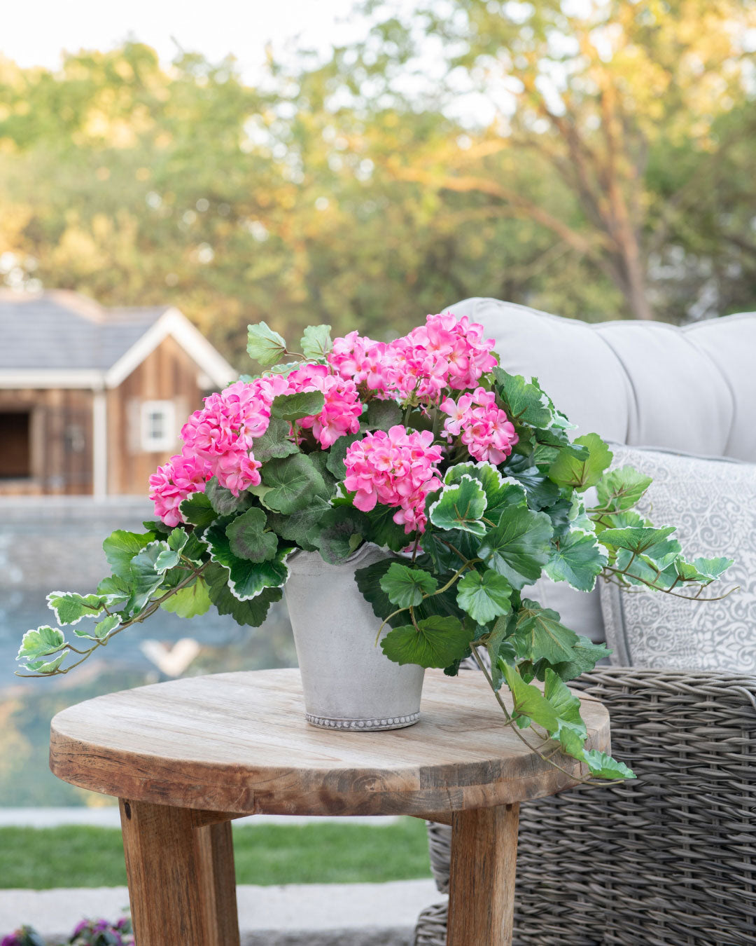 outdoor flowering bushes