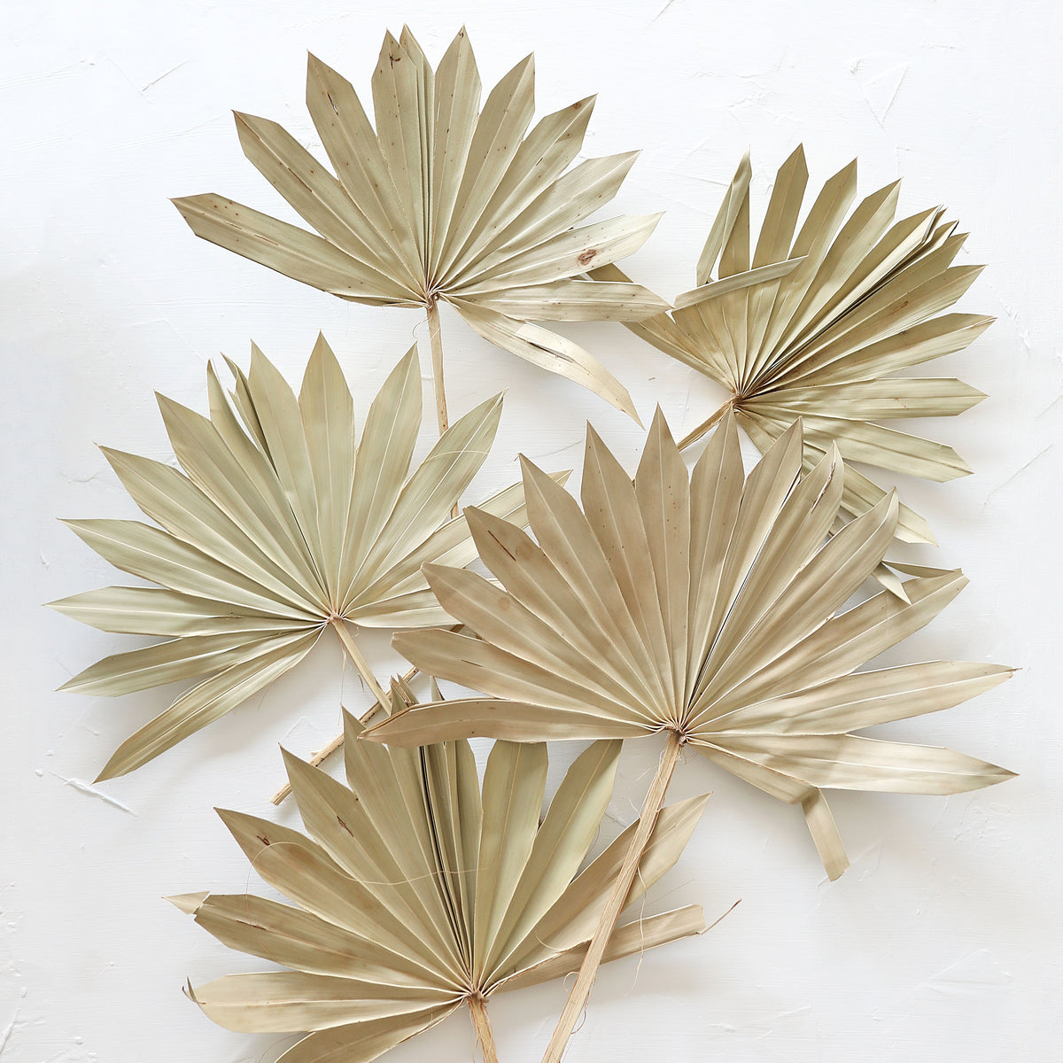 Clearance - Final Sale