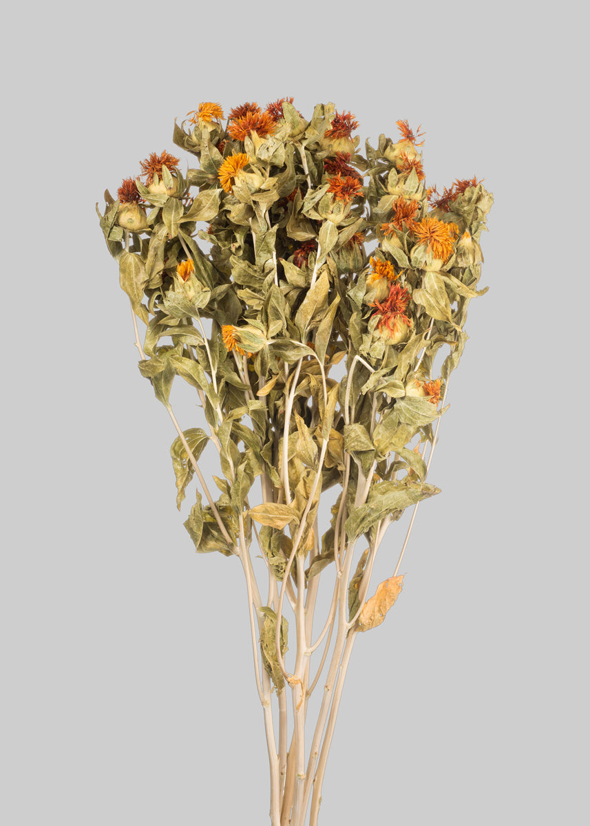 Natural Orange Safflower