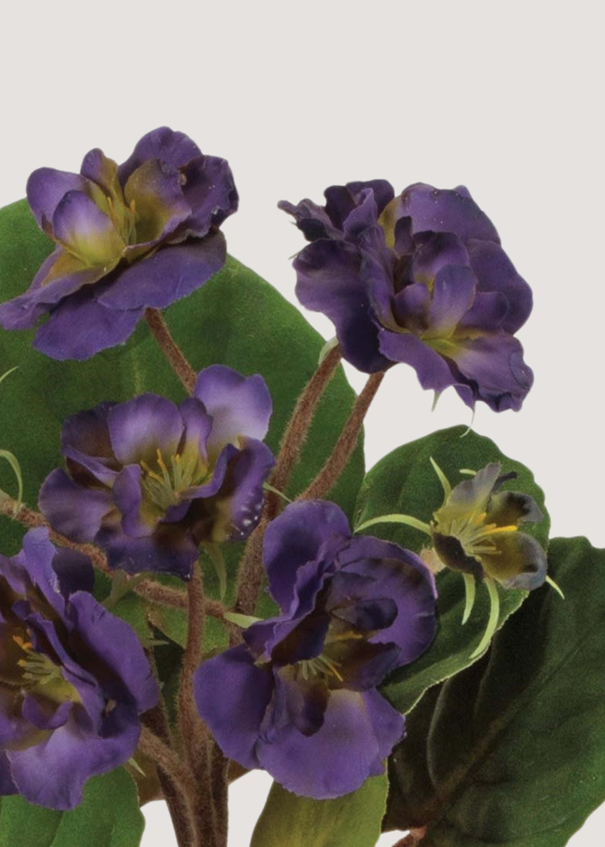 african violet potted plant Purple Fake Potted African Violet Plant in Terra Cotta Pot