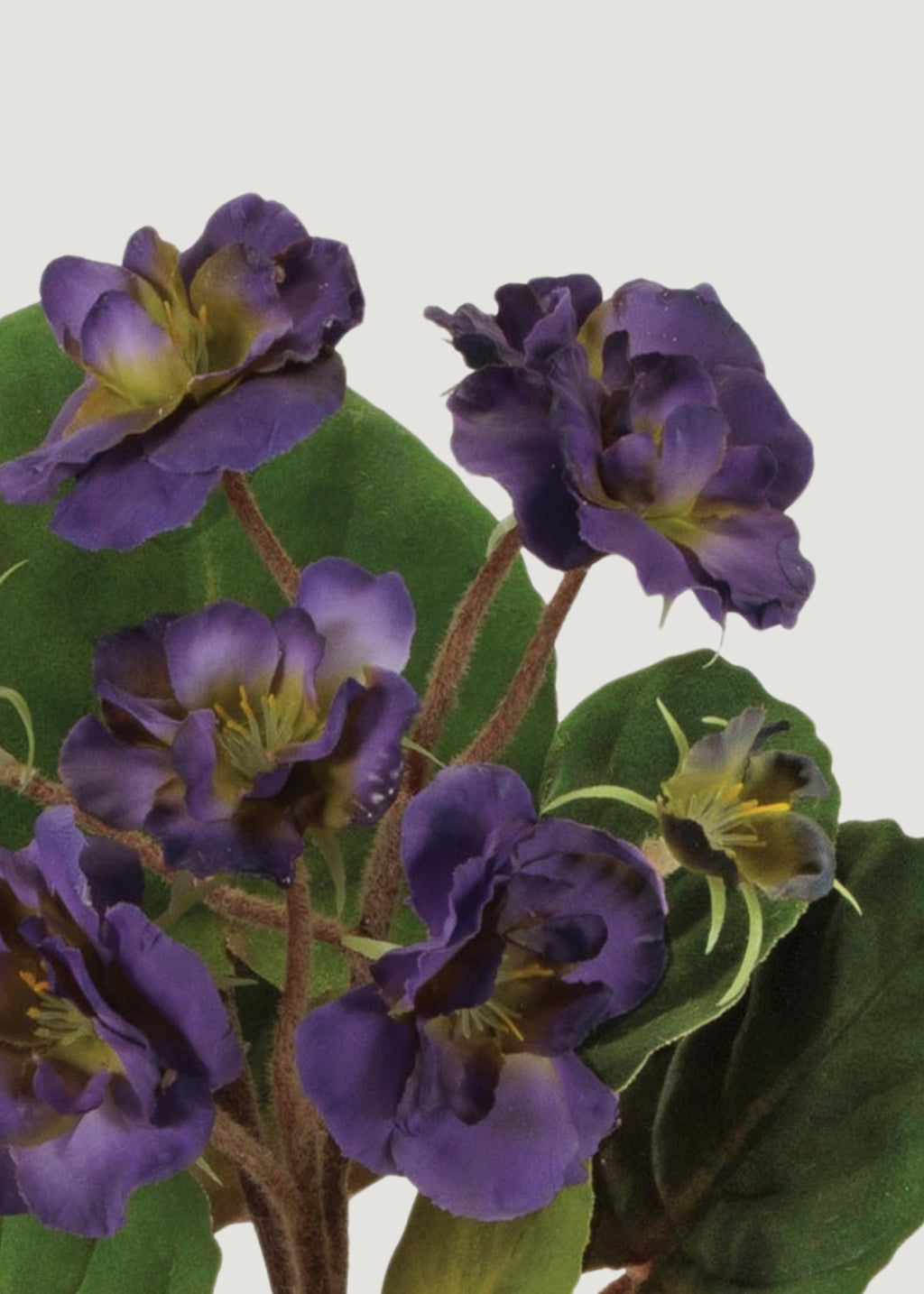 Close-up of fake African Violet Plant 