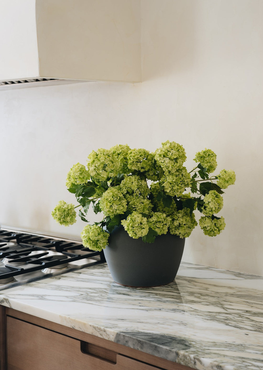 afloral faux flowers fake green snowball hydrangea